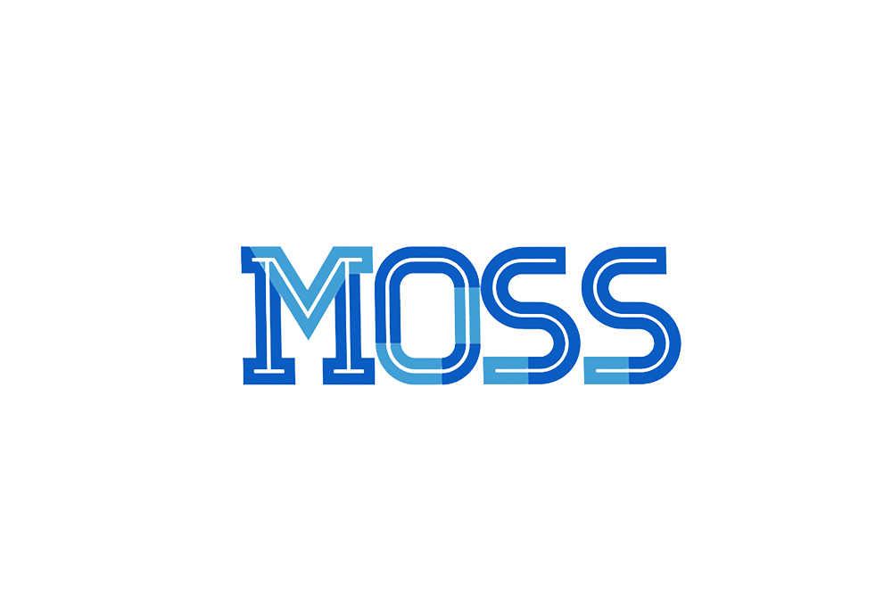 复旦大学ChatGPT-MOSS